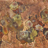 Fall_flowers_thumb