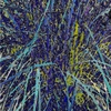 Leaves_of_grass_thumb