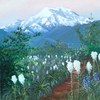 2009_mountain_thumb