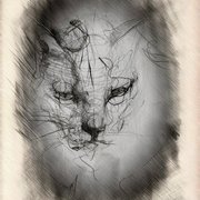 Rio-drawing_card