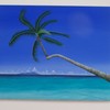 100_9642_thumb