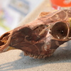 May_2_2012_001_thumb