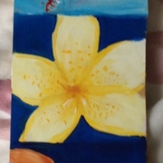 Img_2635_card