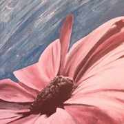 Photo-1_card
