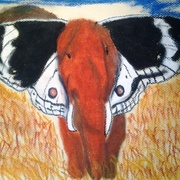 2012-05-28_18_50_44_card