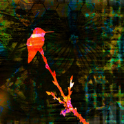 Digitaluniverseiiismall_card