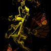 Butterfly_thumb