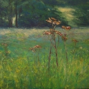 Suchy_krwawnik_2012_card