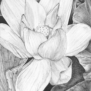 3221_001_card