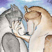 Two_wolves_card