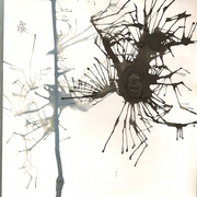 Branching_out_card