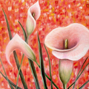 Calla_summer_card