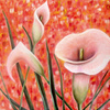 Calla_summer_thumb