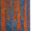Cypress_meets_creek_thumb