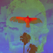 Cursesmall_card
