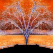 102_4822_card