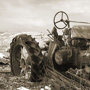 Cultivating_rust_card