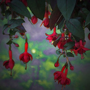 Img_4875sm_card
