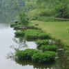 Water_thumb