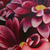 Floral2_tiny_square