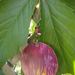 Dsc03401_square