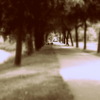 Bulevar_thumb