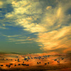 Wide_open_spaces_thumb