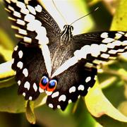 Img_5859__medium__card
