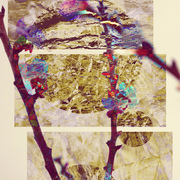 Abstractjapansmall_card