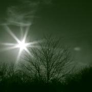 Img_2547__small__card