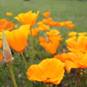 Img_0491_card
