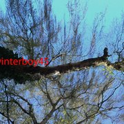 P5010043_copy_card