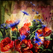 P1011429_card