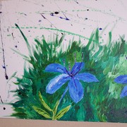 104_5284_card