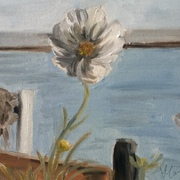 Photo_6__card