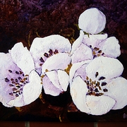 56-blanco_card