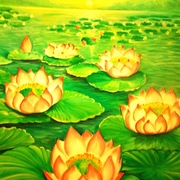 Bed_of_lotus_card