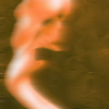 The_20horrified_20spirit_20_38c__thumb
