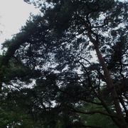 P6100003_card