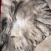 Img_0338_card