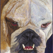 Bulldog_card
