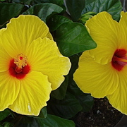 Dsc06506_card