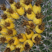 Img_4861_card