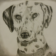 Drawingsby_robert_gill_001_card