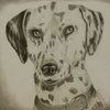 Drawingsby_robert_gill_001_thumb