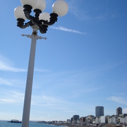 Dsc00139_card