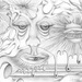 Eye_spies_square