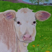 Buttercup_reduced_card