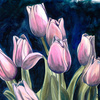 Tulips_web_thumb