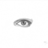 03--20081029-101602---the_eye--6x4_thumb